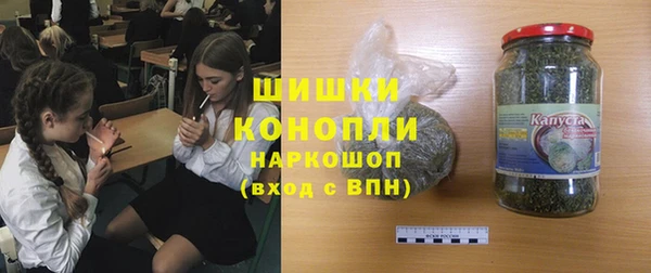 мет Инта