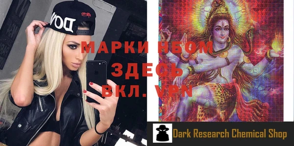 мет Инта