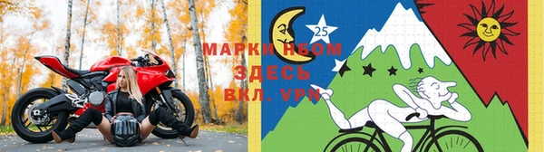 МДПВ Каменск-Шахтинский