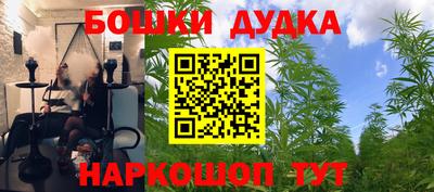 соль ск Можга