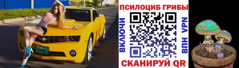 Галлюциногенные грибы Psilocybine cubensis Киреевск