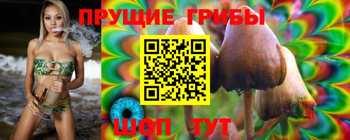 Галлюциногенные грибы мицелий  Вход с VPN  Киреевск 