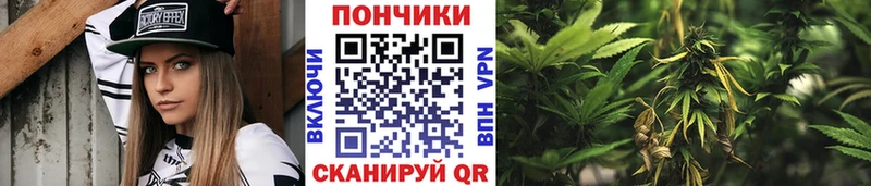 Шишки марихуана ГИДРОПОН  Киреевск 